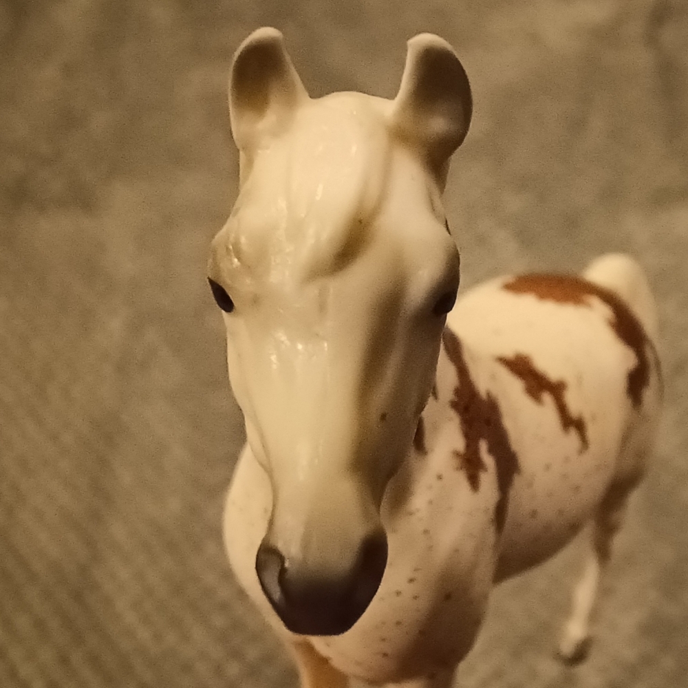 Breyer Madonna - Picture 10 of 15